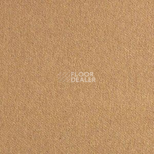 Ковролин Brintons Finepoint Tiepolo Gold bf 176 фото 1 | FLOORDEALER